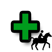 Erste-Hilfe am Pferd